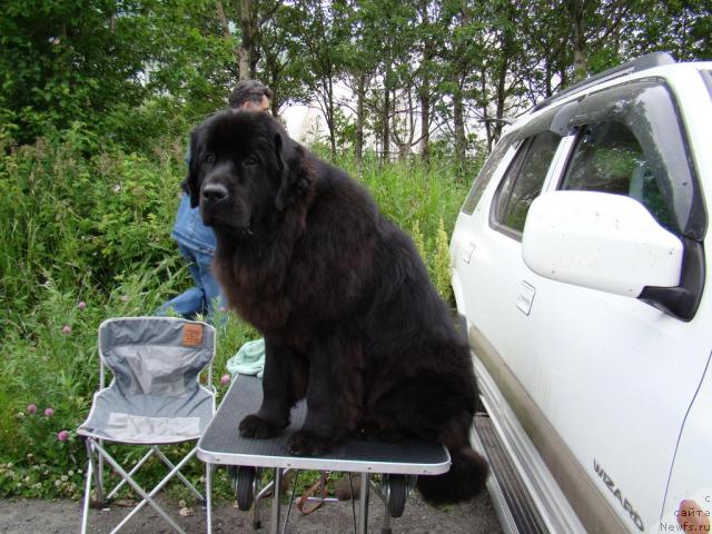 Фотография № 46199