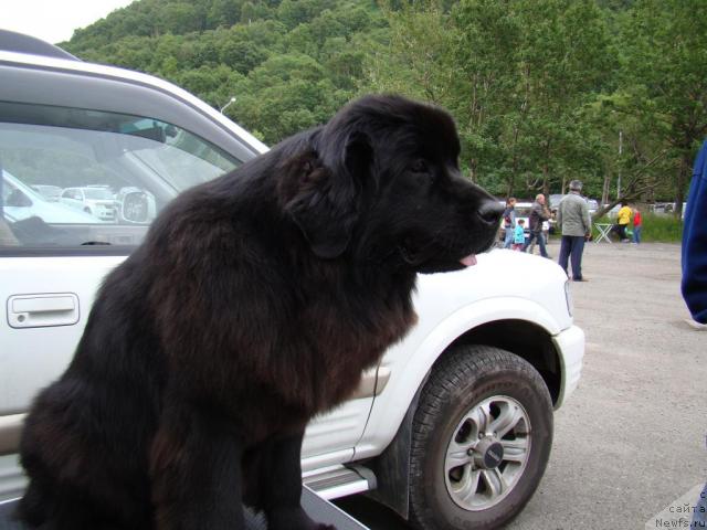 Фотография № 46200