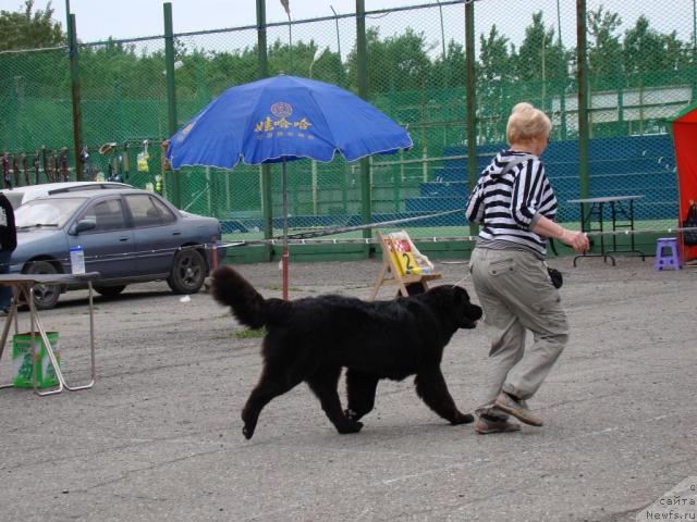 Фотография № 46202