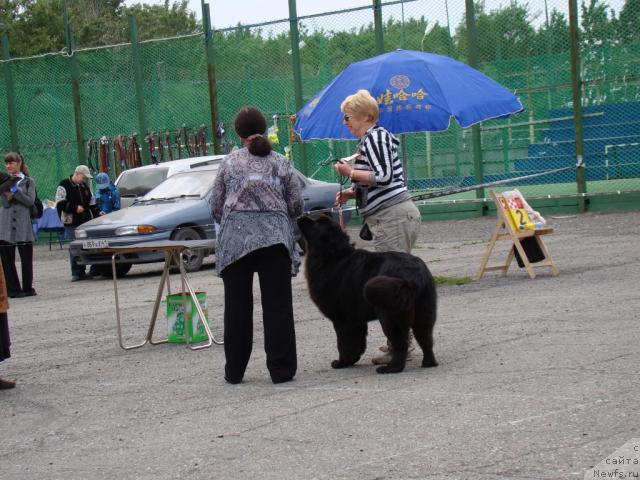 Фотография № 46204