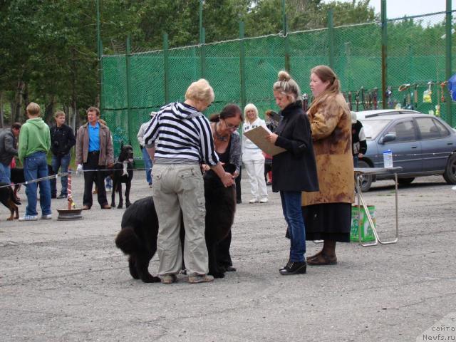 Фотография № 46205