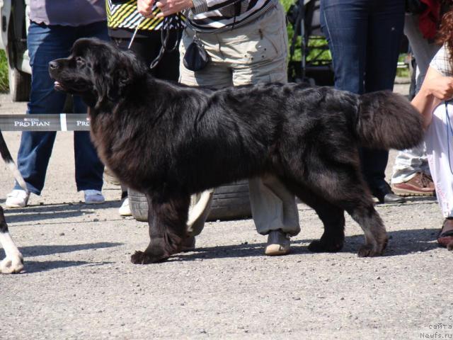 Фотография № 46206