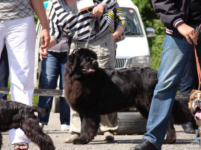 Фотография № 46209