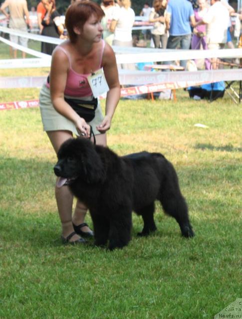 Фотография № 46218