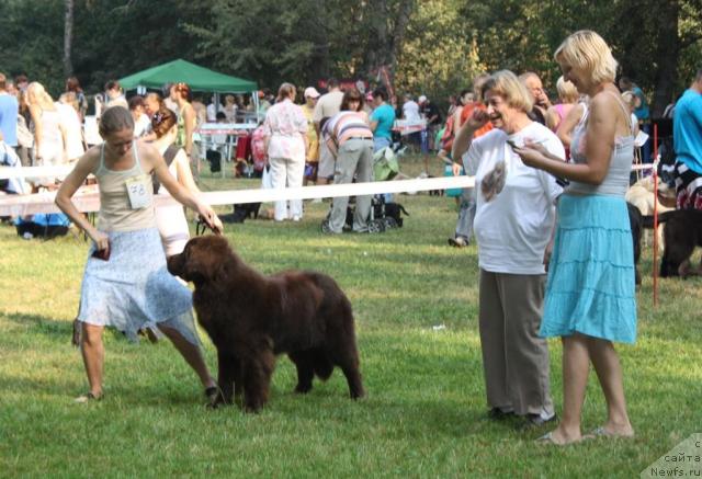 Фотография № 46219