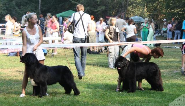 Фотография № 46221