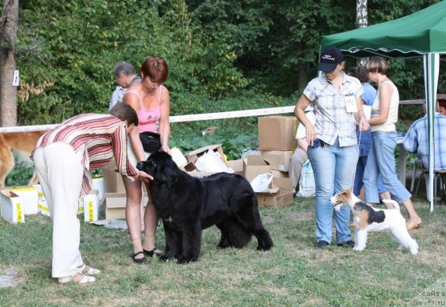 Фотография № 46225