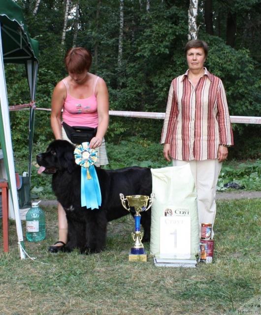 Фотография № 46226