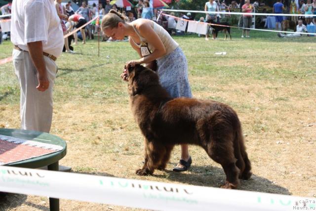 Фотография № 46227