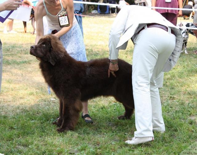 Фотография № 46228