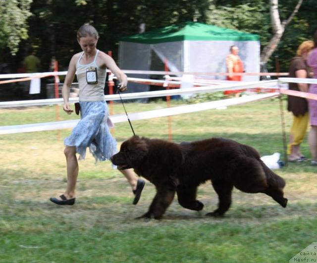 Фотография № 46229