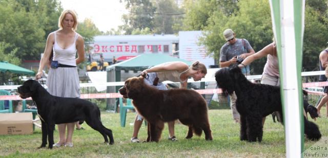 Фотография № 46230