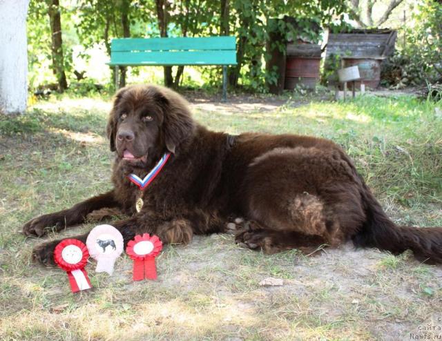 Фотография № 46232