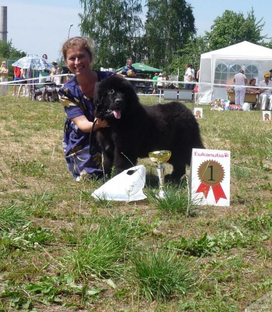 Фотография № 46262