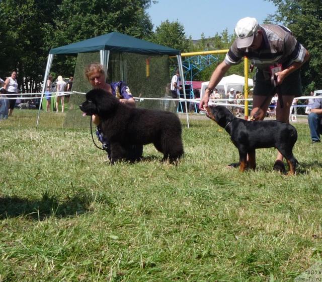 Фотография № 46263