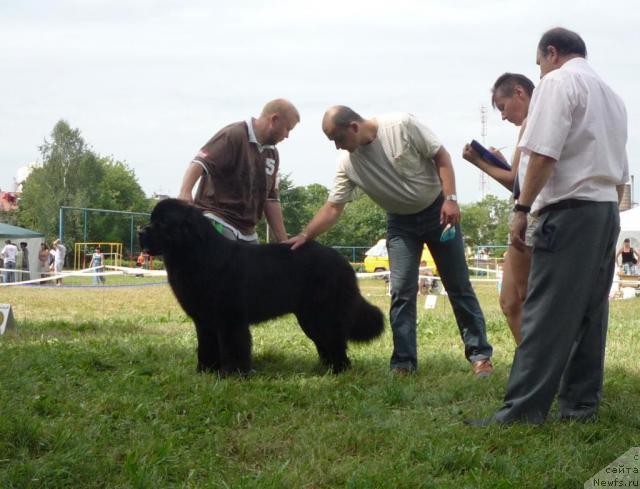 Фотография № 46264