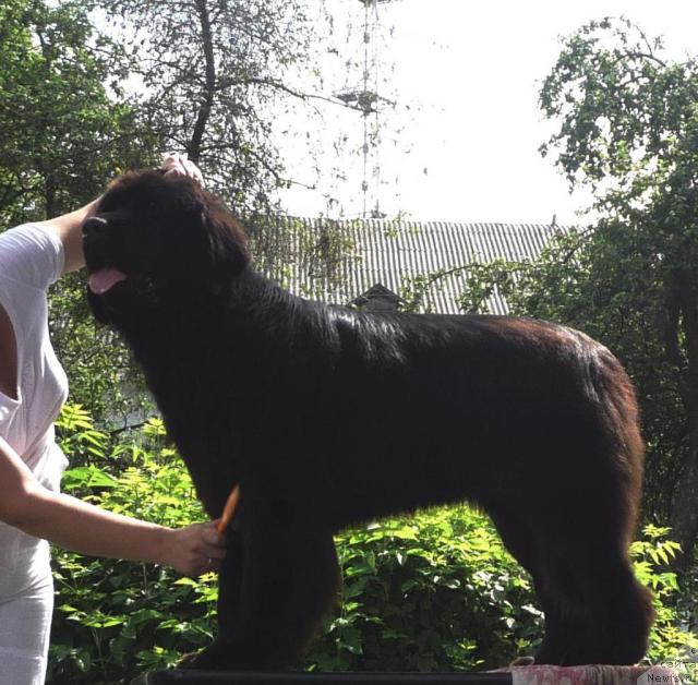 Фотография № 46268