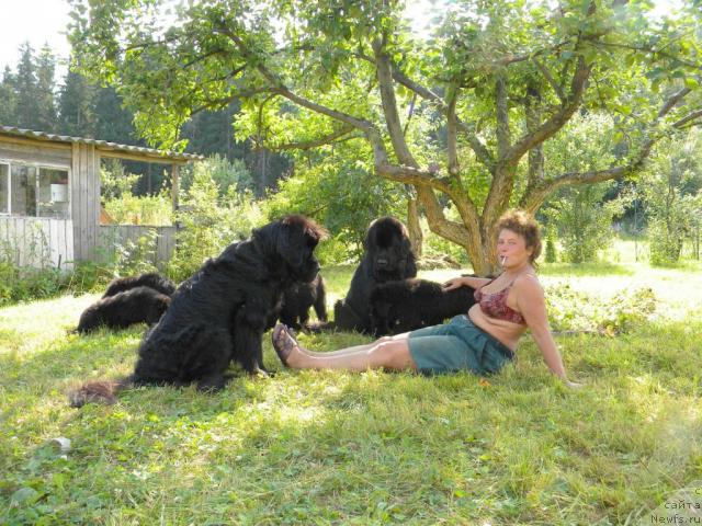 Фото: Анна Ковалёва