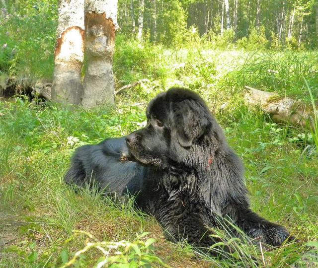 Фотография № 46280