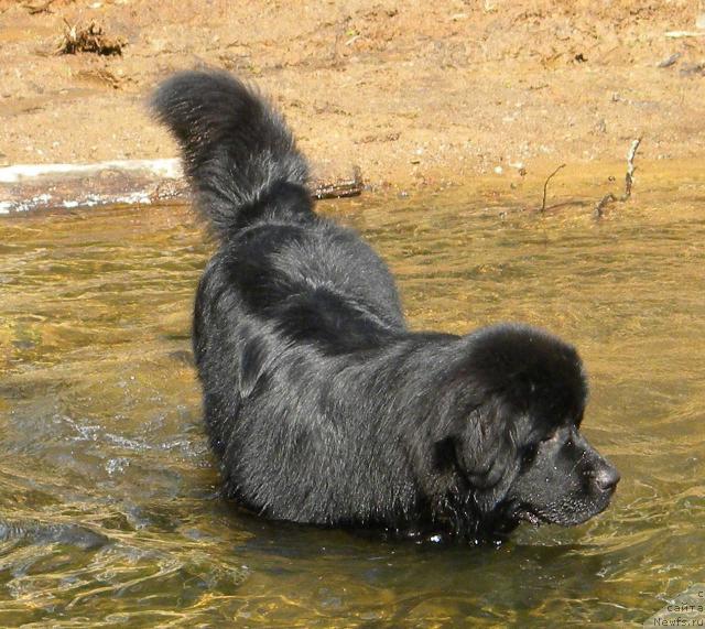 Фотография № 46281