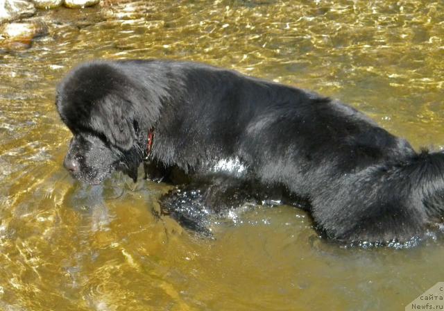 Фотография № 46283