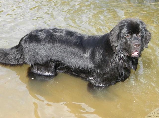 Фотография № 46284