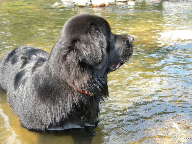 Фотография № 46285