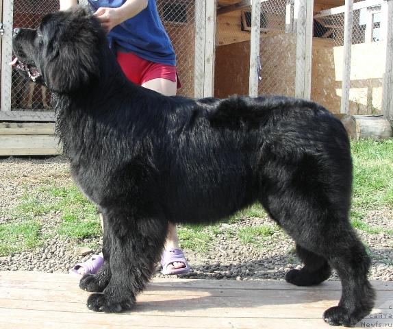 Фотография № 46315