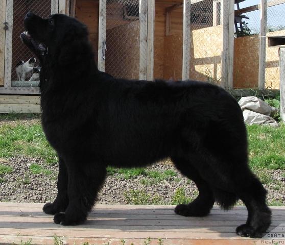 Фотография № 46316