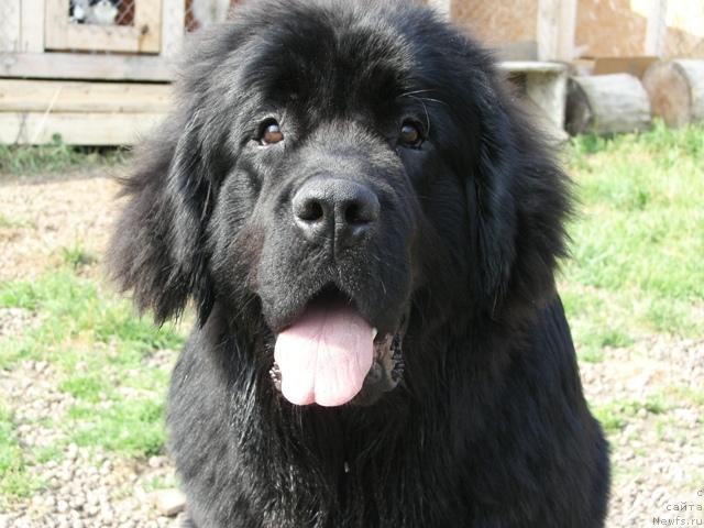 Фотография № 46317