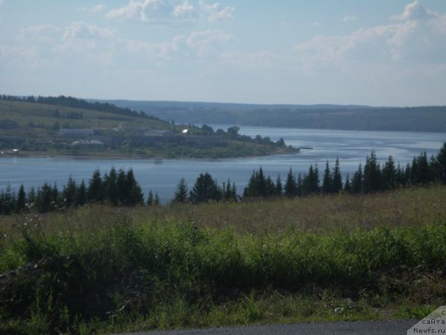 Фотография № 46325