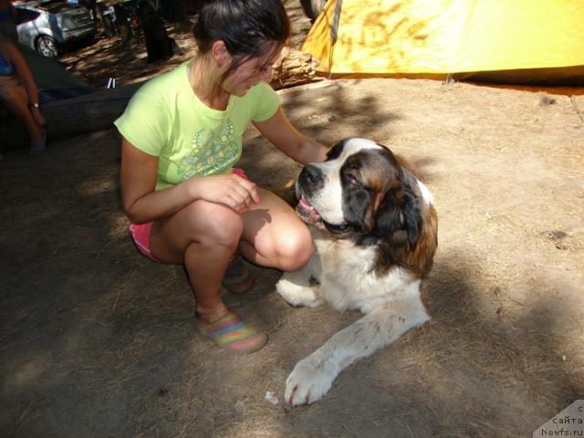 Фотография № 46329