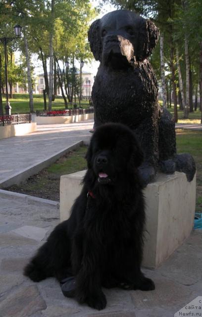 Фотография № 46330