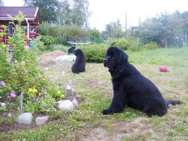 Фотография № 46342