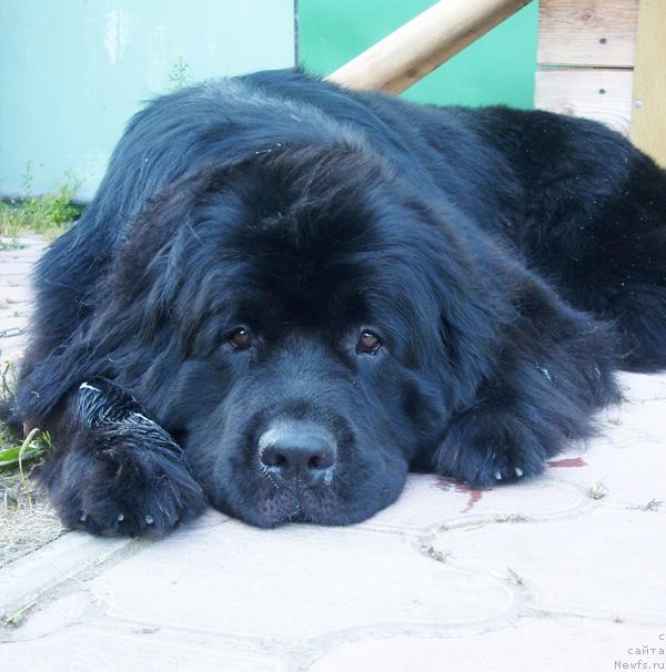 Фотография № 46345