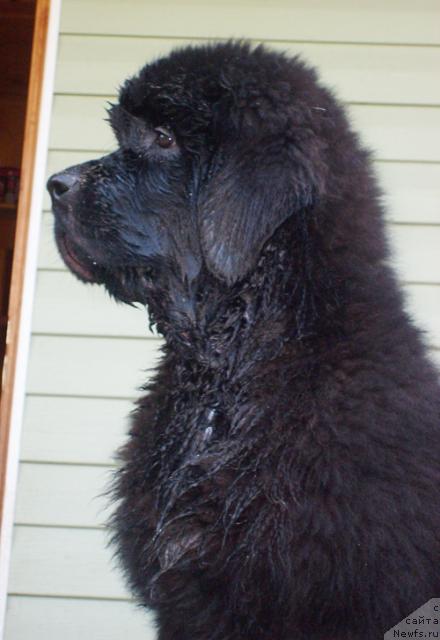 Фотография № 46346