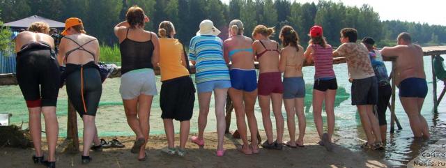 Фотография № 46351