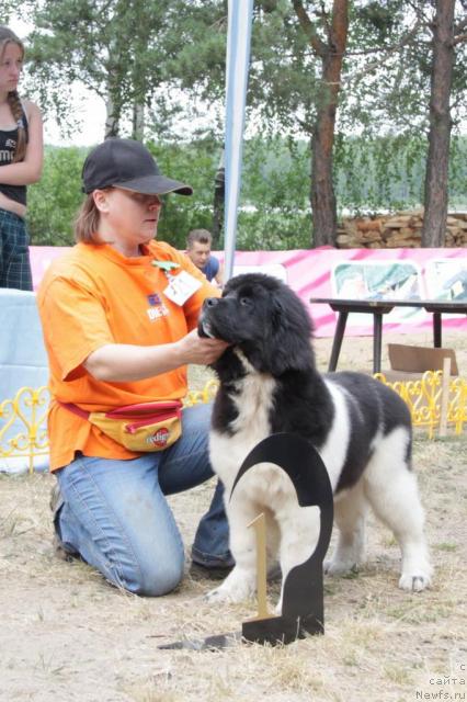 Фотография № 46366