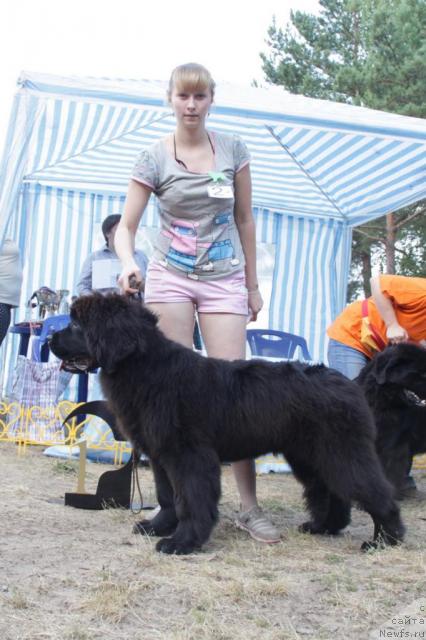 Фотография № 46370