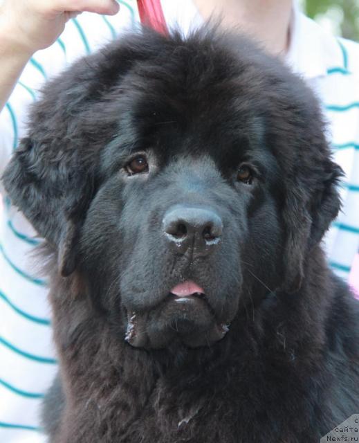 Фотография № 46373