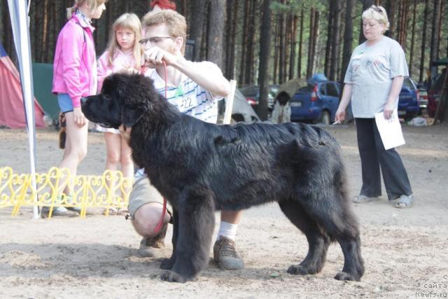 Фотография № 46375