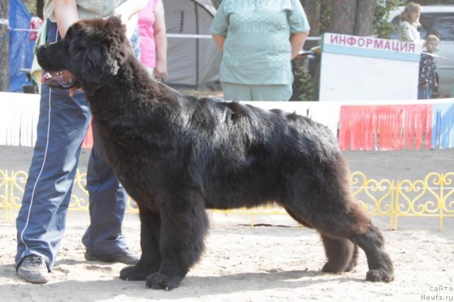 Фотография № 46376