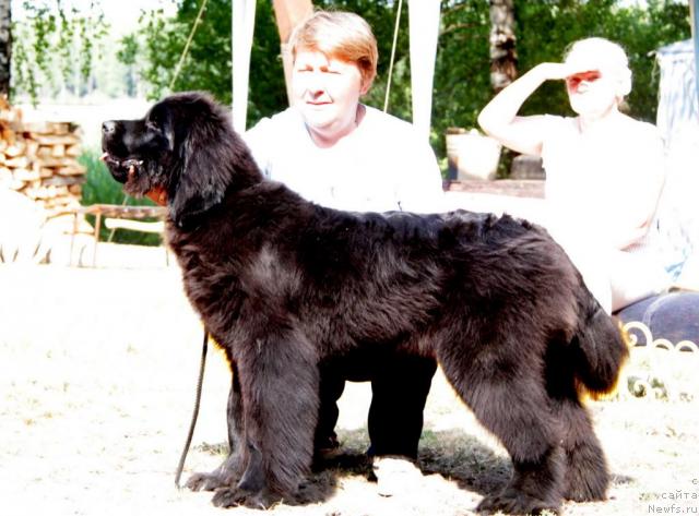 Фотография № 46377