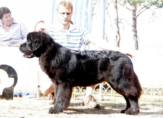 Фотография № 46378