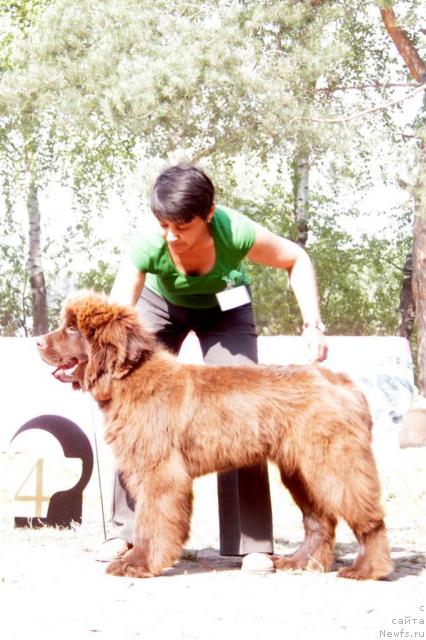 Фотография № 46379