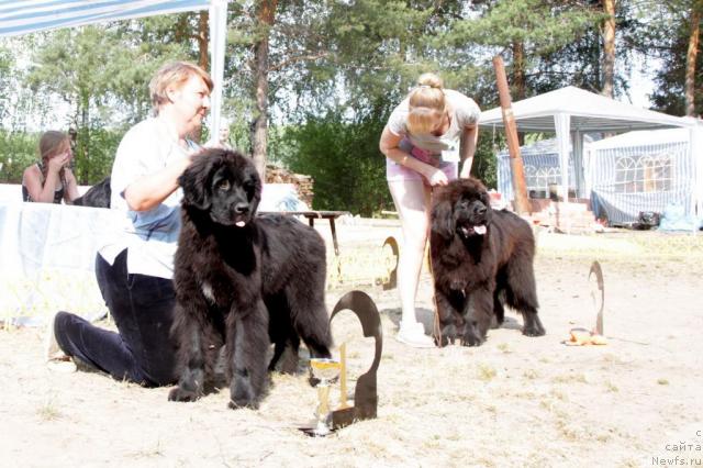 Фотография № 46381