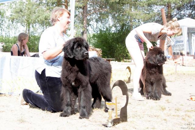 Фотография № 46382