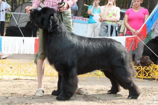 Фотография № 46384