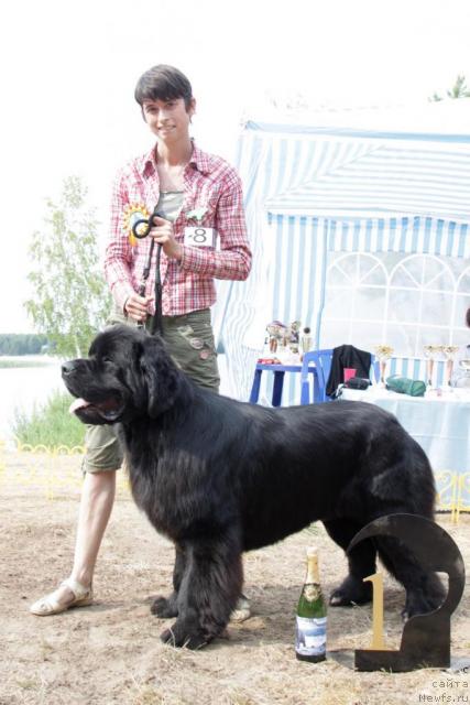 Фотография № 46386