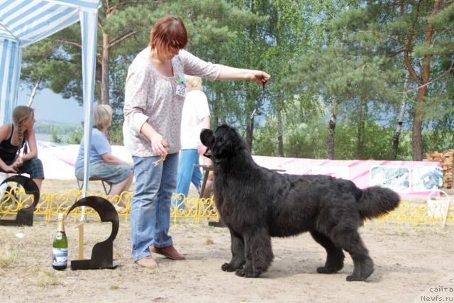 Фотография № 46389